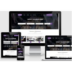 Пакет Pro10:Шаблон Violet+ SEO PRO +Russian Ultimate Payments